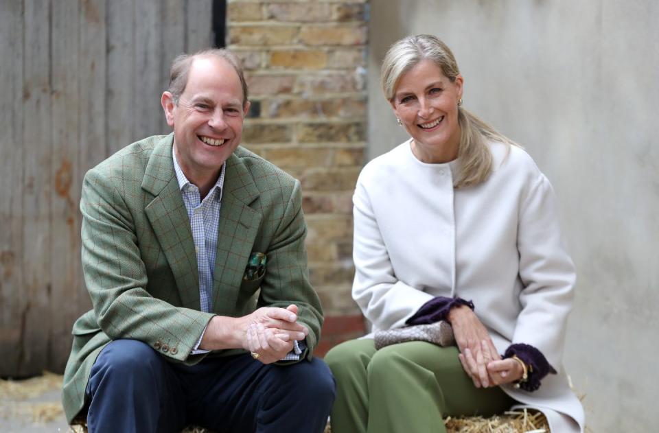 london, england october 01 prince edward, earl of wessex and sophie, countess of wessex during their visit to vauxhall city farm on october 01, 2020 in london, england their royal highnesses will see the farms community engagement and education programmes in action, as the farm marks the start of black history month photo by chris jackson wpa poolgetty images