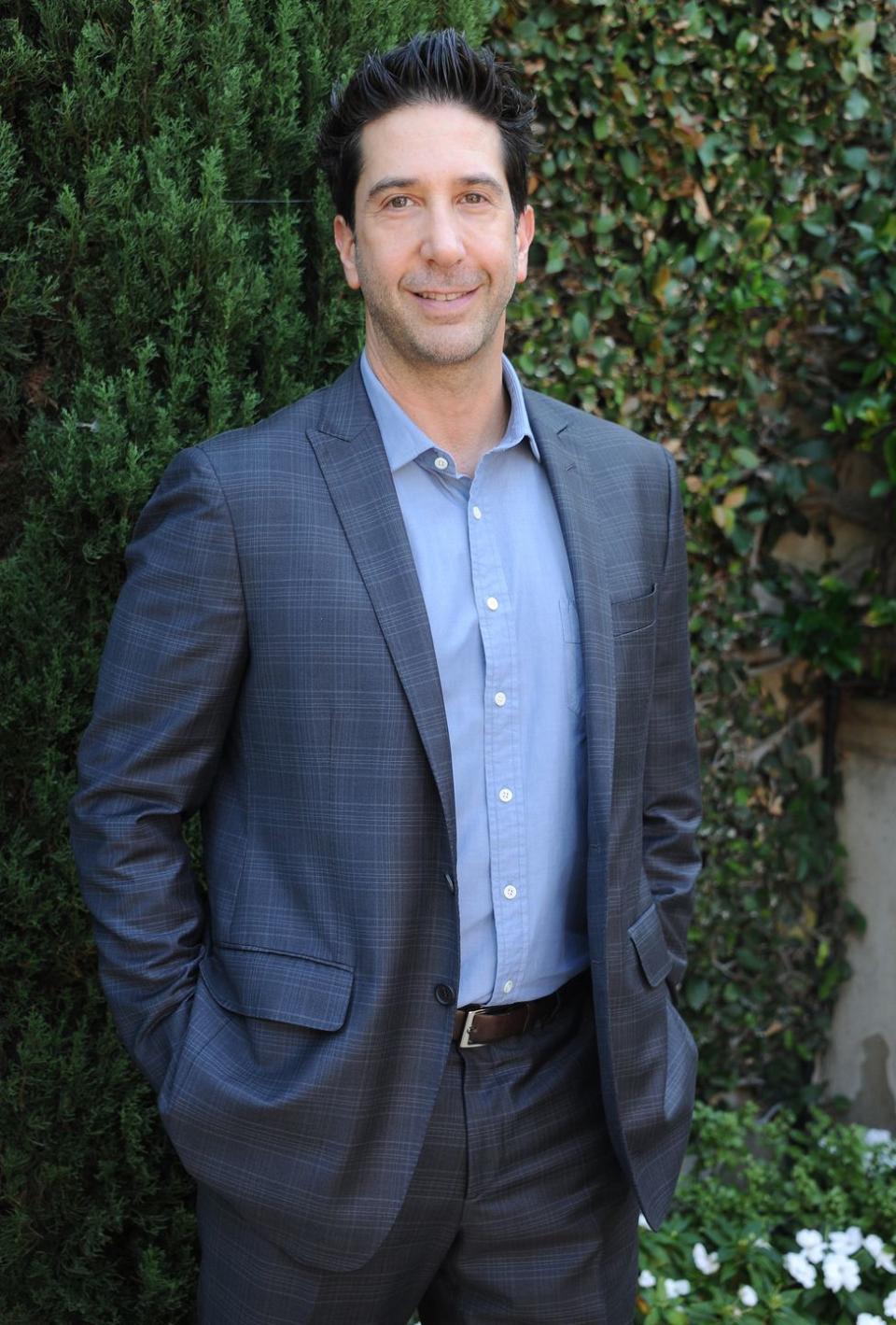 Now: David Schwimmer