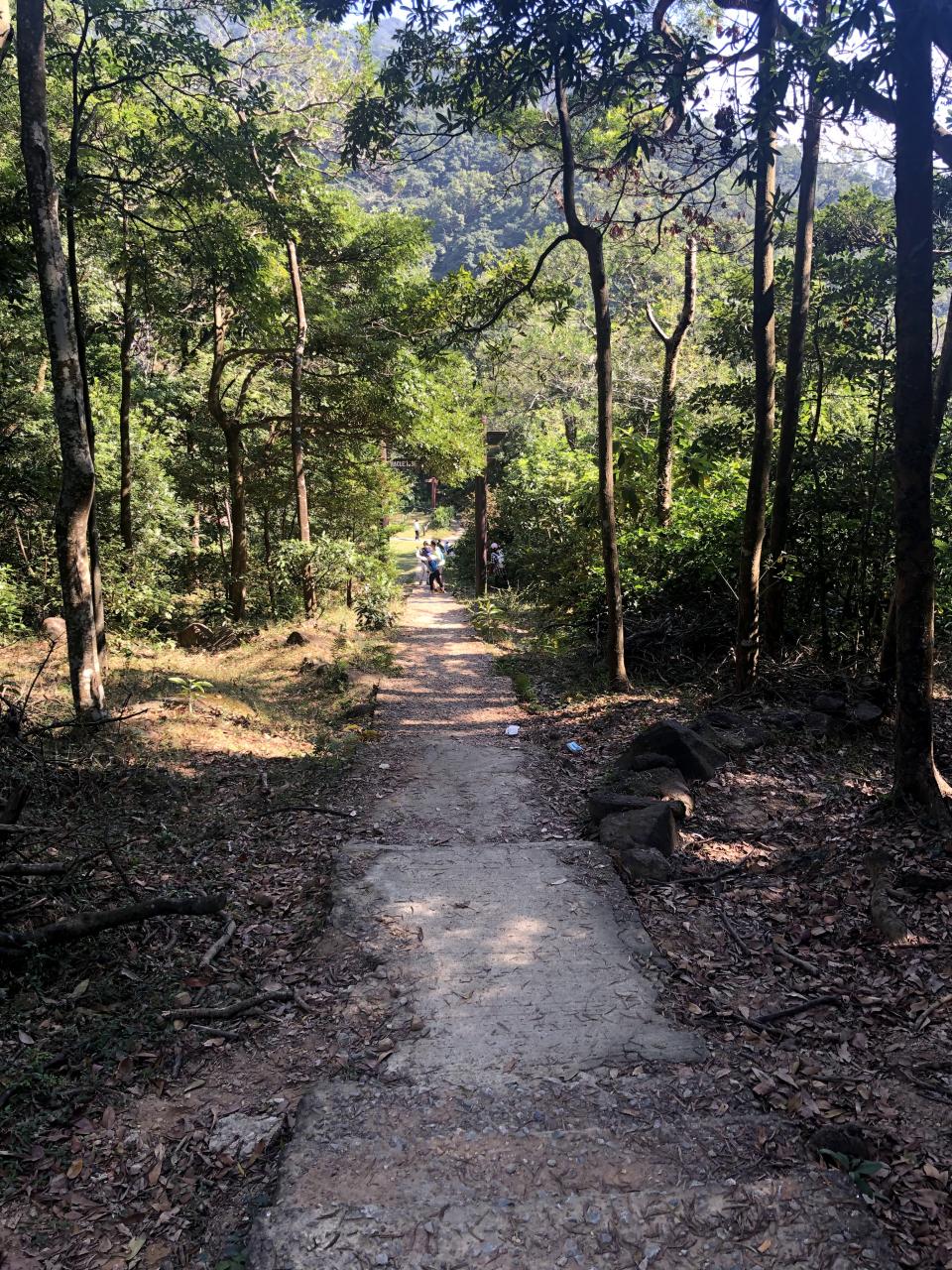 草山_沿路