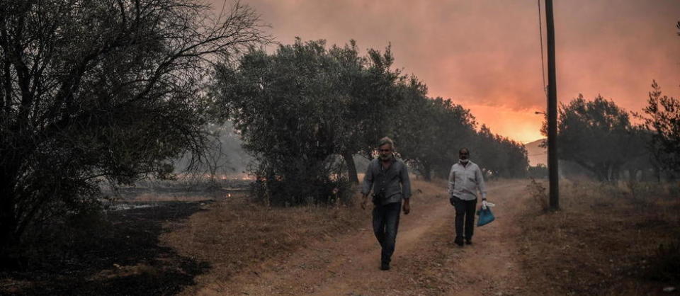 Les feux s'approchant des habitations, trois villages ont été évacués au pied du mont Parnès, à une trentaine de kilomètres au nord-ouest d'Athènes.
