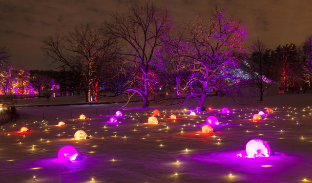 Best Spots for Christmas Lights in Chicago