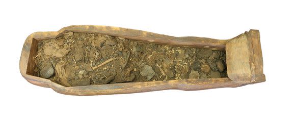 Mixed remains within the coffin.