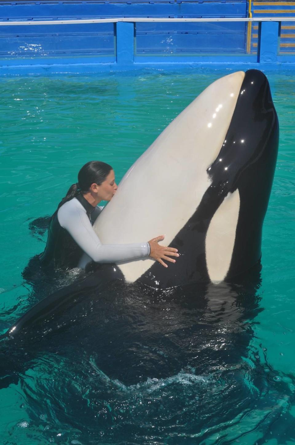 La ex entrenadora principal del Miami Seaquarium Marni Wood solía nadar y bucear en el tanque de Tokitae con la orca de 7,000 libras, que también se llamaba Lolita. La ballena murió en el Seaquarium el 18 de agosto de 2023.