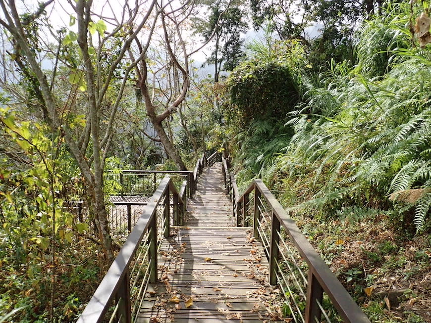 嘉義大風埕觀日峰＋油車寮步道