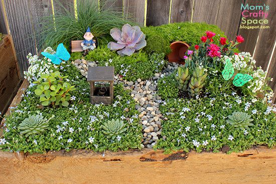 fairy garden in box