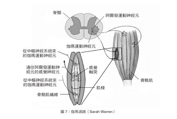 （圖片提供／商周出版）