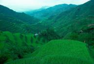 PHILIPPINES: Rice Terraces at Banaue, Luzon Island, Philippines. This terracing is more than 2,000 years old.