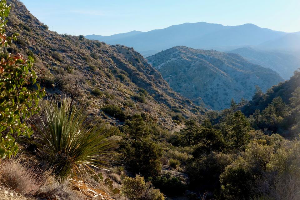 A view from the Santa Rosa Mountains on March 13, 2022.