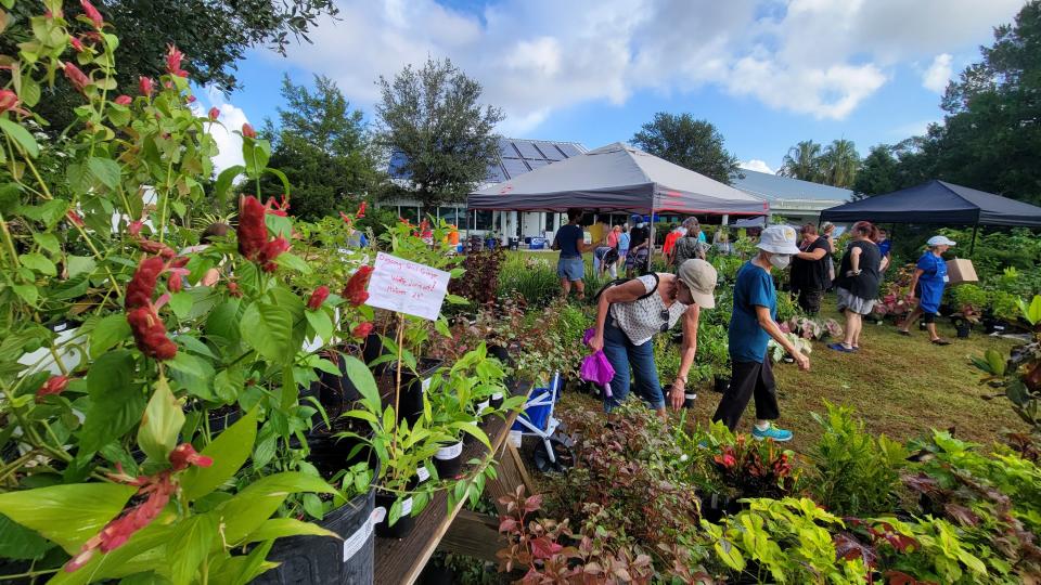 The 15th annual Master Gardener Volunteer Plant Sale in October sponsored by UF/IFAS Extension Sarasota County raised more than $23,000 – a record for the event.