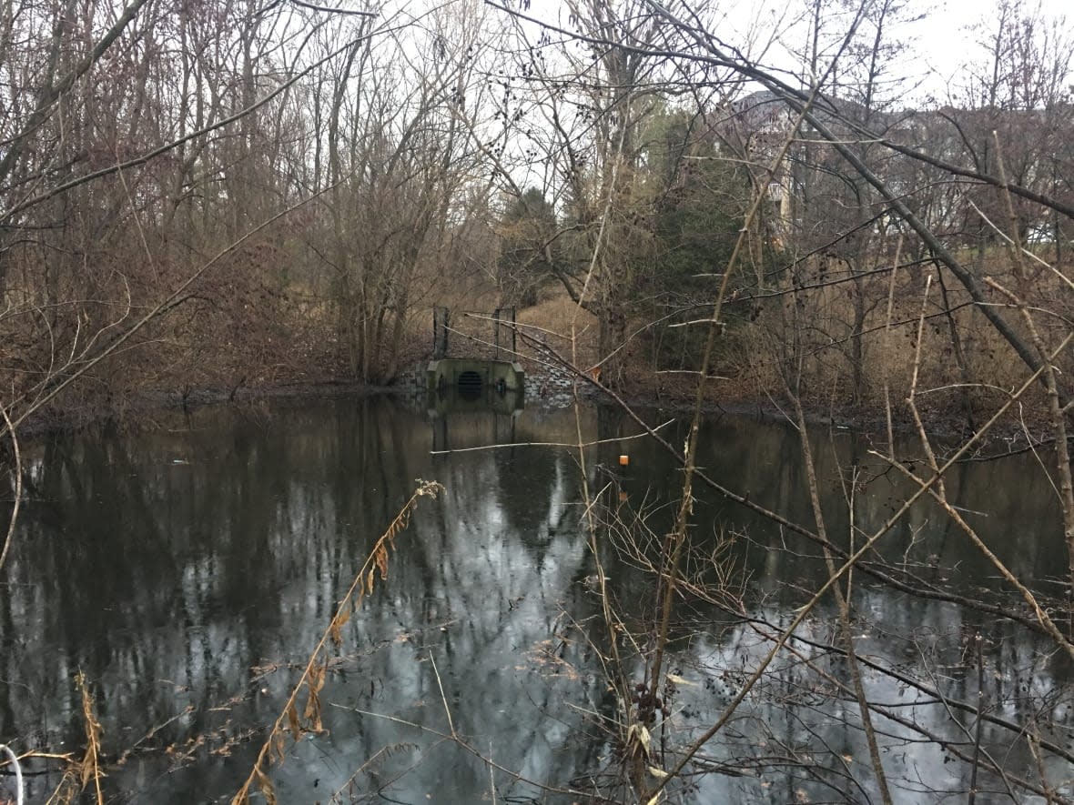 Water levels are high at this storm water pond in Scarborough on Tuesday, Jan. 3, 2022. (Muriel Draaisma/CBC - image credit)