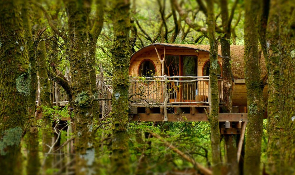 Gaze out over a Welsh thicket in this off-grid hideaway, Living Room Treehouse - Living Room Treehouses, Wales