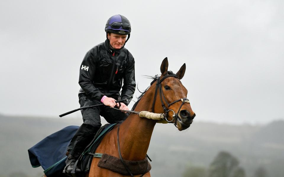 Honeysuckle, with Colman Comerford up, on the gallops ahead of the Cheltenham Racing Festival - Getty Images/Seb Daly