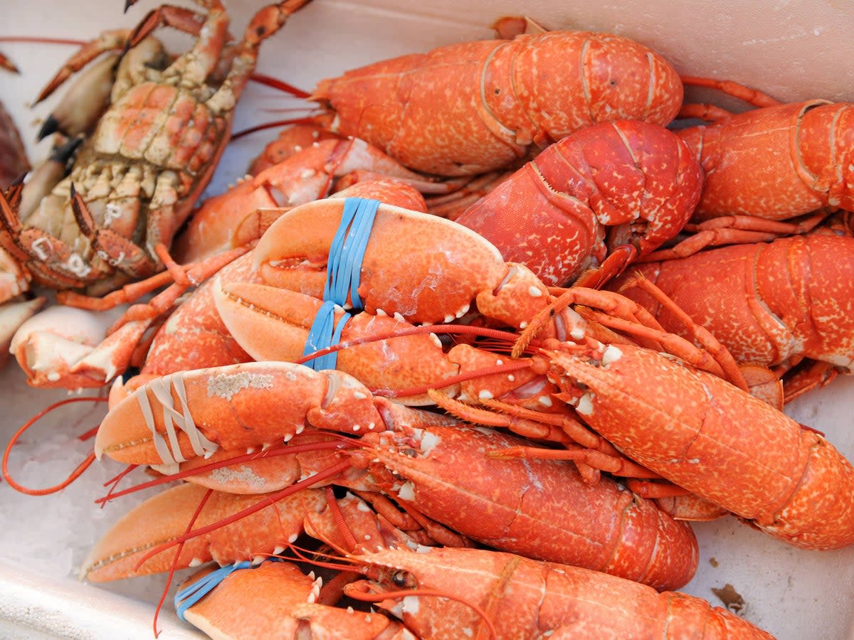 There are many different ways to use lobster  (Alamy/PA)