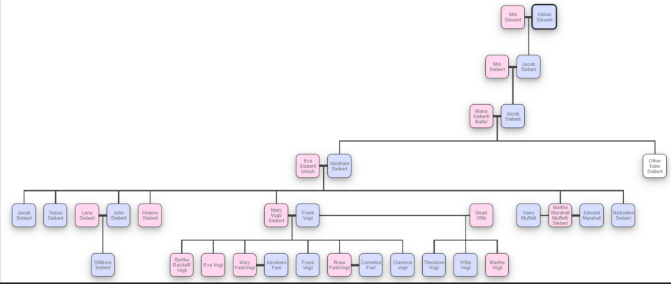The Siebert family tree.