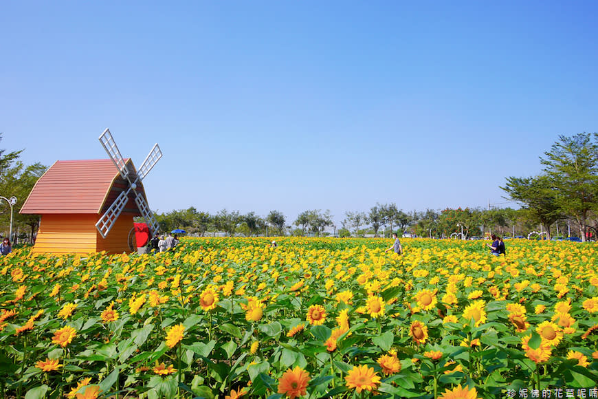 屏東｜新埤鄉綜合休閒公園