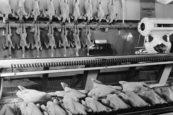 black and white, horizontal, interior, center, lifestyle, business, industry, food, chicken, abundance, uniformity, beyond retr