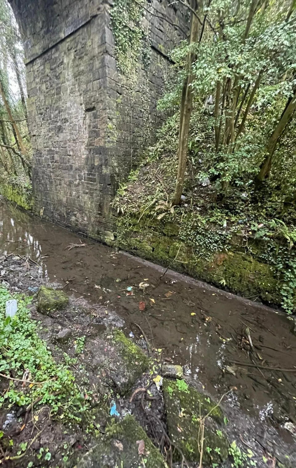 The Ulster canal where Kelly was found on St Patrick’s Day morning (Supplied)