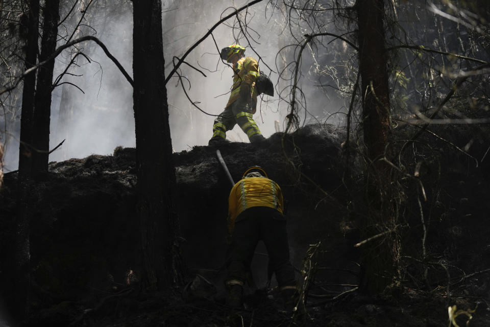 Firefighters work to control a forest fire on El Cable Hill in Bogota, Colombia, Thursday, Jan. 25, 2024. (AP Photo/Fernando Vergara)