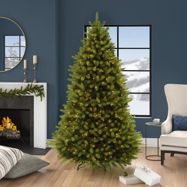 <p><a href="https://go.redirectingat.com?id=74968X1596630&url=https%3A%2F%2Fwww.wayfair.com%2Fholiday-decor%2Fpdp%2Fthree-posts-green-realistic-artifcial-fir-cashmere-christmas-tree-w003219170.html&sref=https%3A%2F%2F" rel="nofollow noopener" target="_blank" data-ylk="slk:Shop Now;elm:context_link;itc:0;sec:content-canvas" class="link ">Shop Now</a></p><p>Lighted Artificial Fir Christmas Tree</p><p>wayfair.com</p><p>$163.99</p>