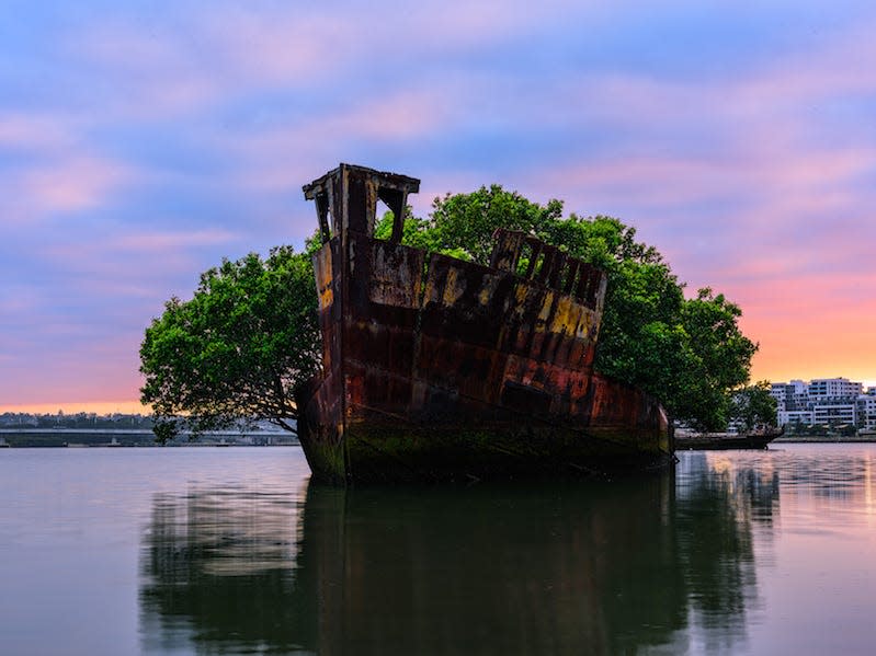 SS Ayrfield in Sydney, Australia.