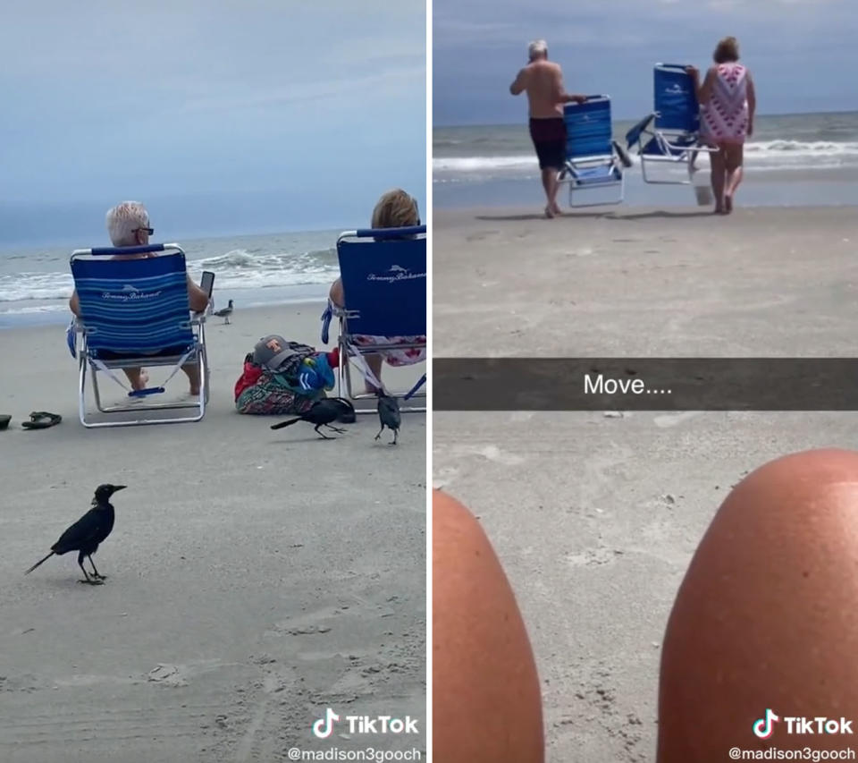 L: Birds around a couple sitting in beach chairs on the beach. R: A couple carry their chairs as they walk away on the beach