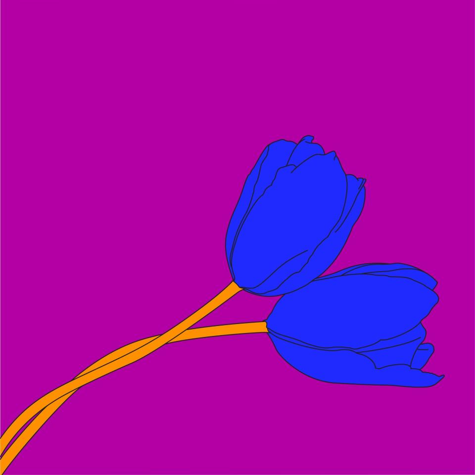 Tulip by Michael Craig-Martin at Bowes Museum - Credit: Michael Craig-Martin /Bowes Museum