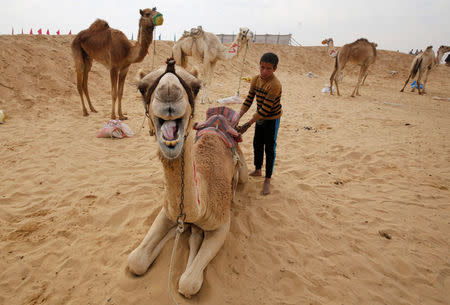 Ahmed, a 10-year-old jockey, looks on during the opening of the International Camel Racing festival at the Sarabium desert in Ismailia, Egypt, March 21, 2017. Picture taken March 21, 2017. REUTERS/Amr Abdallah Dalsh