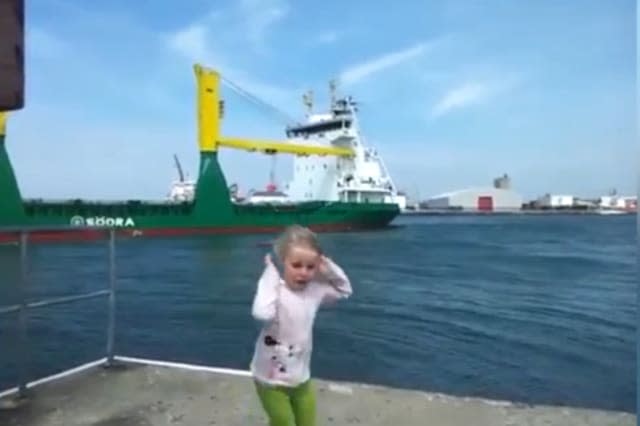 Little girl gets fright of her life when she asks ship to toot horn