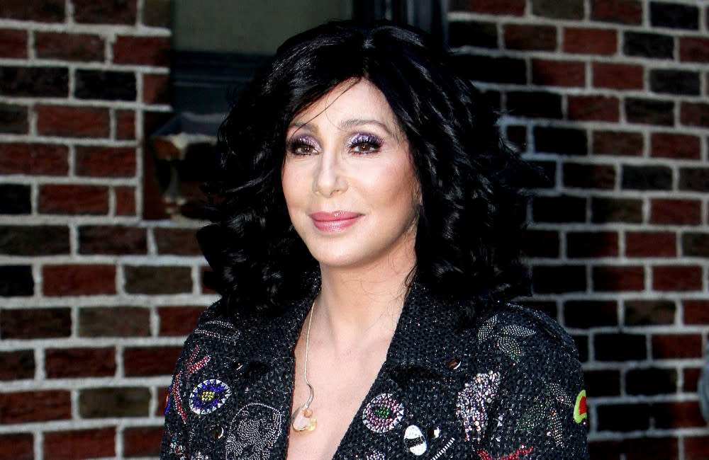 Cher has opened up about her miscarriages credit:Bang Showbiz