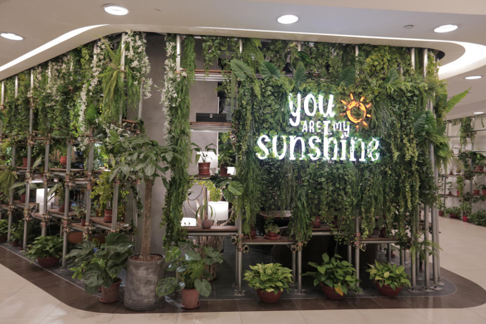 you are my sunshine - storefront