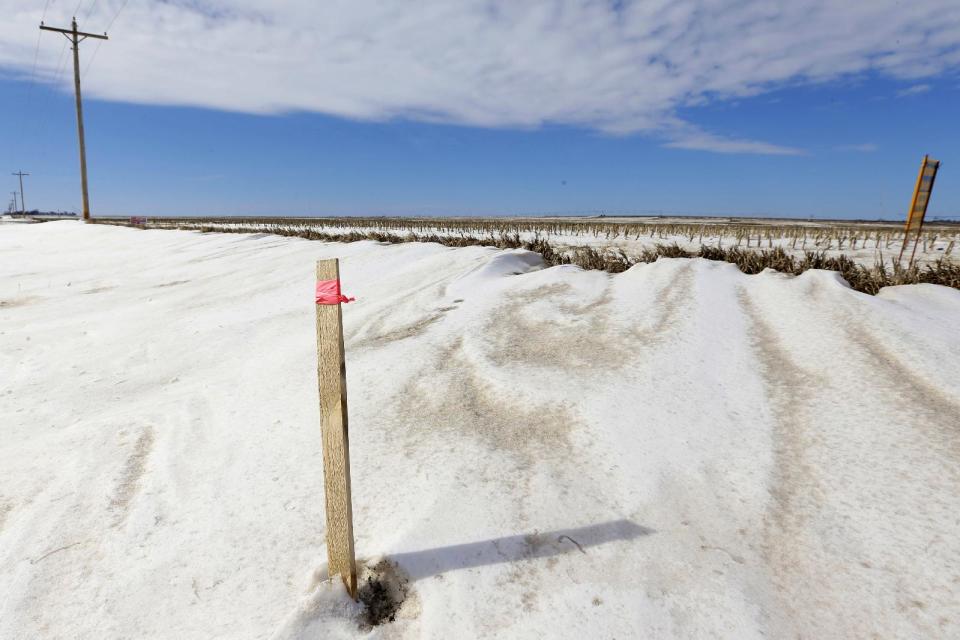 FILE - This photo March 11, 2013 file photo shows a wooden stick with a pink ribbon marking the proposed route of the Keystone XL pipeline through farmland near Bradshaw, Neb. The US is extending indefinitely the amount of time federal agencies have to review the Keystone XL pipeline, the State Department said Friday, likely punting the decision over the controversial oil pipeline until after the midterm elections. The State Department didn’t say how much longer it will grant agencies to weigh in, but cited a recent decision by a Nebraska judge that overturned a state law that allowed the pipeline's path through the state, prompting uncertainty and an ongoing legal battle. Nebraska’s Supreme Court isn’t expected to rule for another several months and there could be more legal maneuvering after that, potentially freeing President Barack Obama to avoid making a final call on the pipeline until after the election in November. (AP Photo/Nati Harnik, File)
