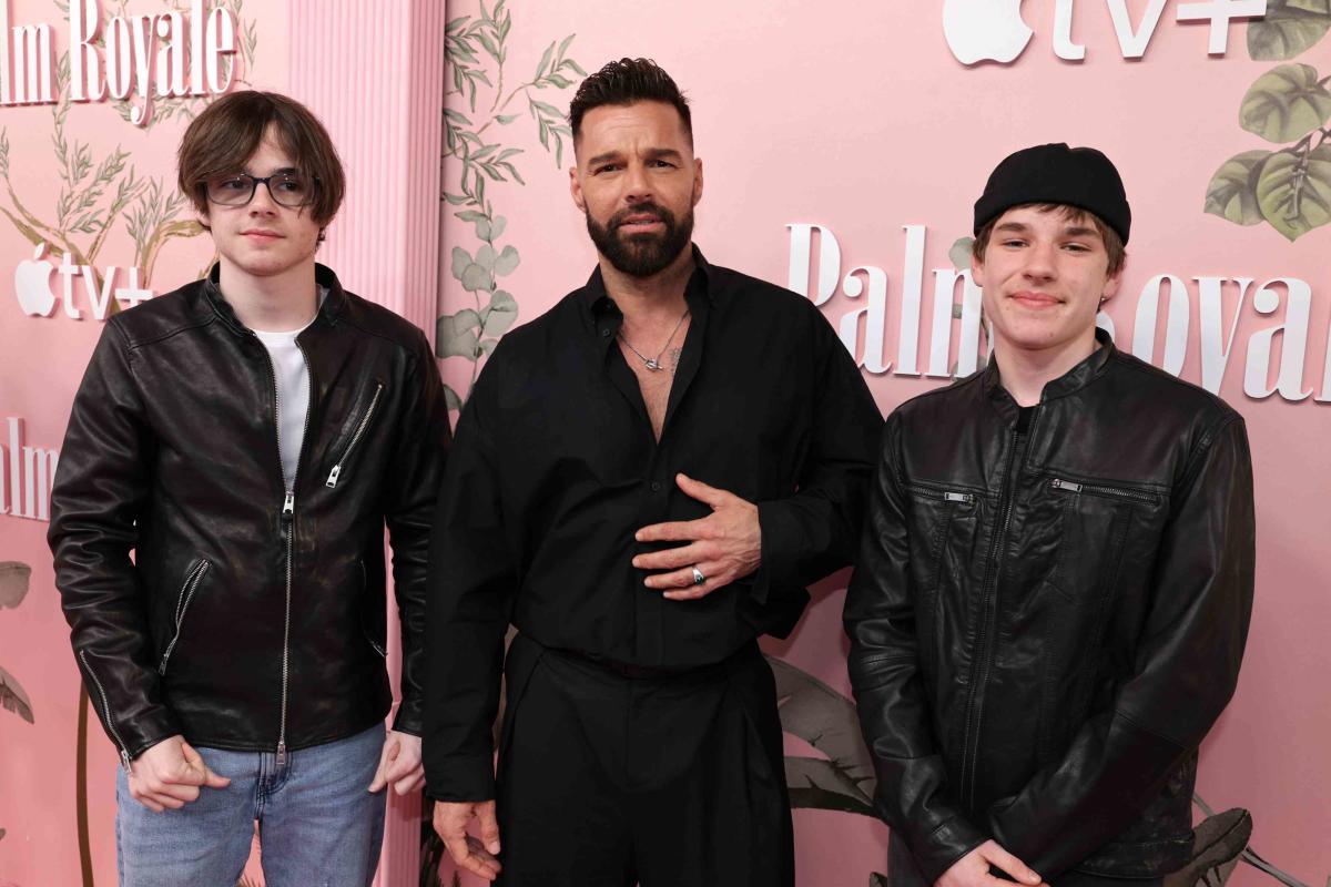 Ricky Martin's twins shine on the red carpet!