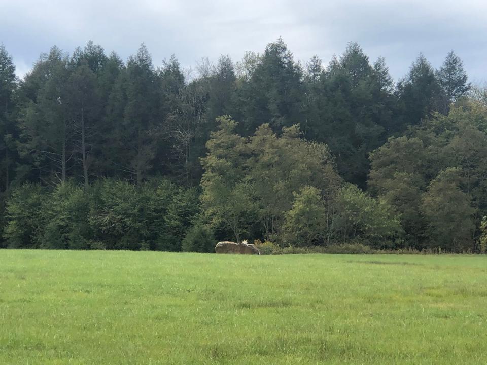 A 17-ton boulder in a field closed to visitors marks the spot where the hijacked airliner United Airlines Flight 93 crashed on Sept. 11, 2001, near Shanksville, Pa.