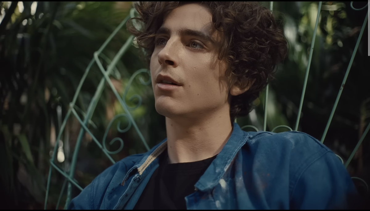 Which Apple TV+ Series Will Timothée Chalamet Join?