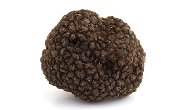 black truffle