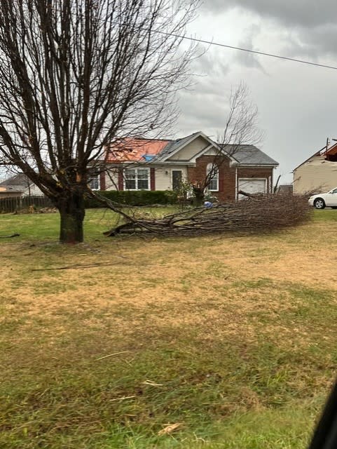 Storm damage along Tylertown Road in Clarksville (Courtesy: Kerianna Mullins)