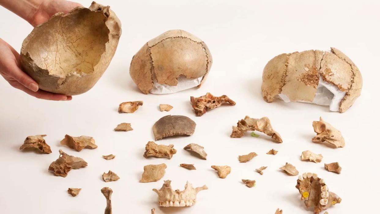 El canibalismo era un ritual funerario común en Europa hace 15.000 años, según un estudio
