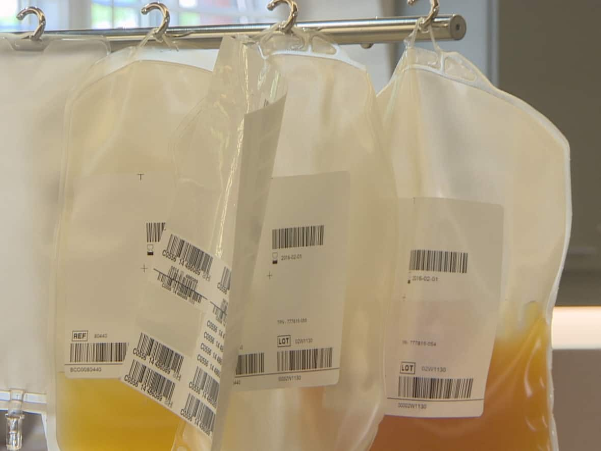 Canadian Blood Services CEO Dr. Graham Sher is confident the organization can increase its voluntary plasma donations without compensating donors. (CBC - image credit)