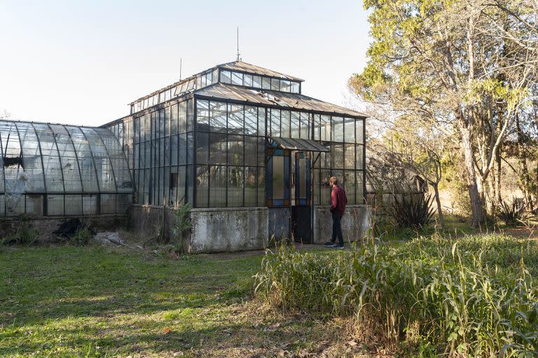 Los numerosos invernaderos del predio se utilizan para la multiplicación de crasas, rosas y diversas especies vegetales. Durante la pandemia la mayoría de ellos fueron vandalizados y sufrieron el robo de una parte importante de la colección de plantas que resguardaban