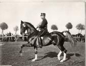 <p>Another scandal occurred in 1932 when Swedish competitor Bertil Sandström was demoted to last place after receiving the silver medal in equestrian dressage. Officials claimed <a href="https://www.rferl.org/a/olympic-cheats-through-history/27867140.html" rel="nofollow noopener" target="_blank" data-ylk="slk:he was illegally "clicking" encouragement to his horse;elm:context_link;itc:0;sec:content-canvas" class="link ">he was illegally "clicking" encouragement to his horse</a>, meanwhile he maintained it was the creak of his saddle.</p>