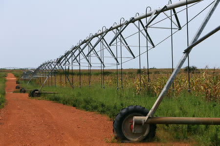 A pivot irrigation system is pictured ot the Thrive Agric's farm in Jere, Kaduna, Nigeria October 10, 2018. REUTERS/Afolabi Sotunde