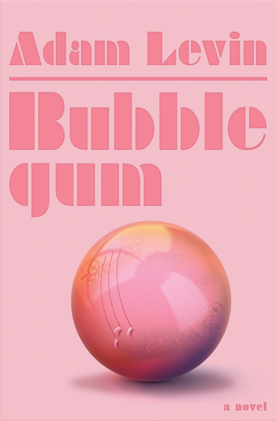 33) ‘Bubblegum’ by Adam Levin