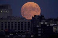 The full harvest moon rises behind downtown buildings in Kansas City, Mo., on Friday, Sept. 9, 2022. (AP Photo/Charlie Riedel)