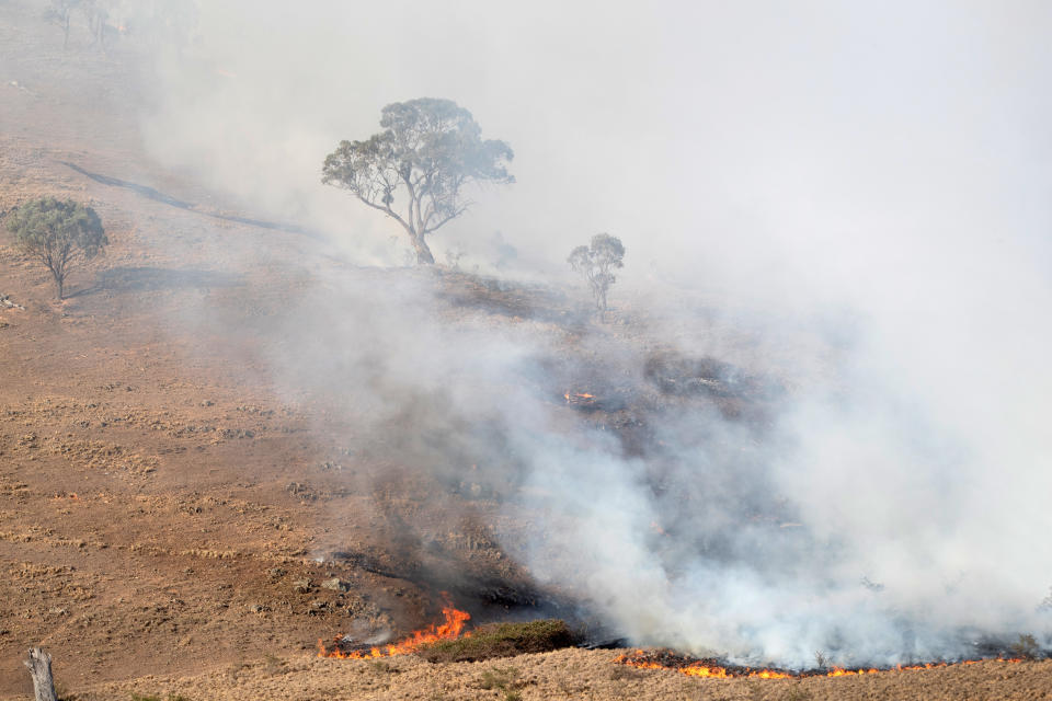 BUMBALONG, AUSTRALIA - FEBRUARY 03: A bushfire sweeps up a hillside on February 3, 2020 in Bumbalong, Australia. In many fire affected areas, surviving wildlife are suffering from dehydration and near starvation, due to the widespread habitat destruction and continued drought. (Photo by John Moore/Getty Images)