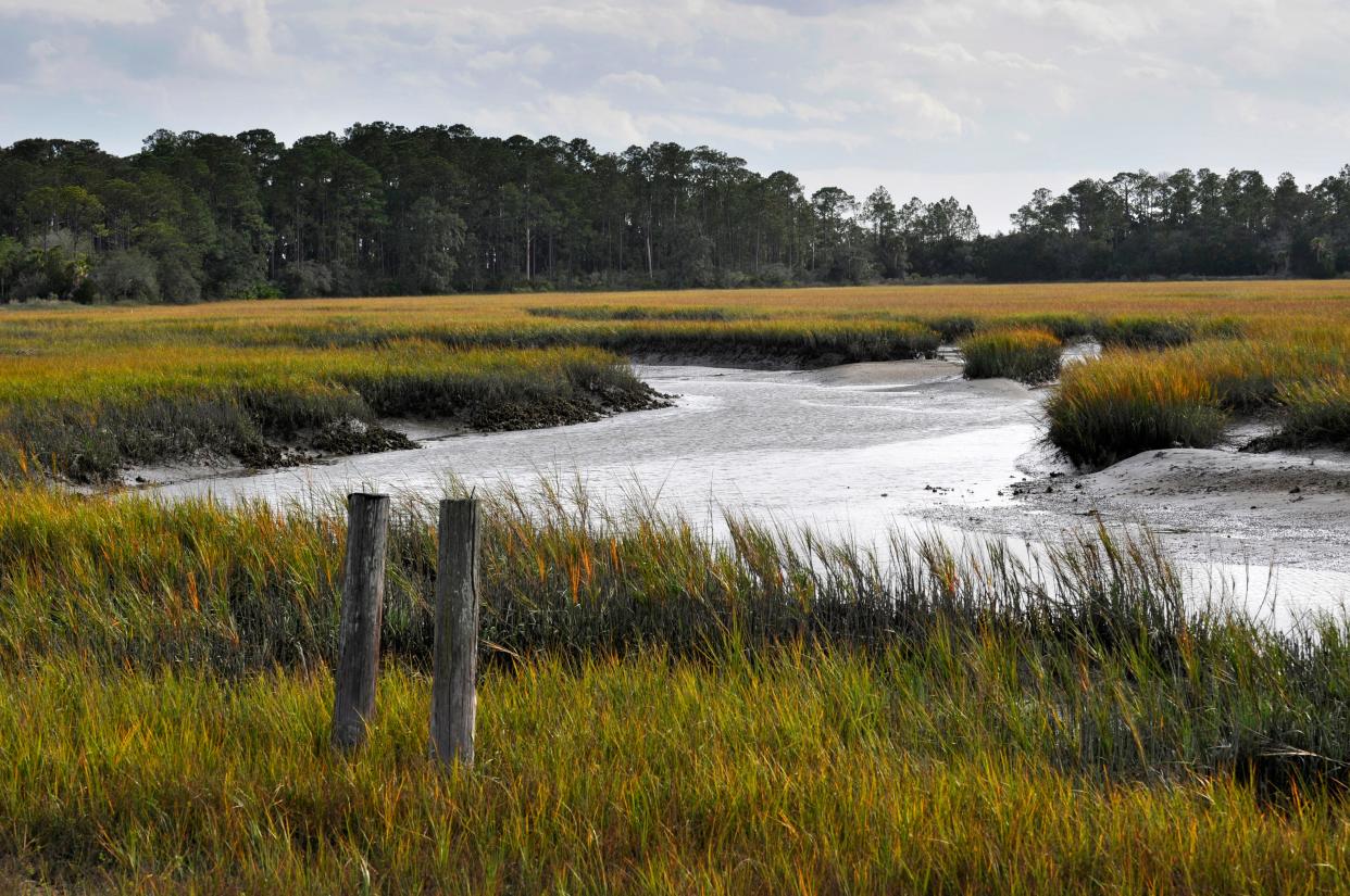 Marshes like this one off the Intracoastal Waterway near Sawpit Creek on the north end of Big Talbot Island have been touted as helping store carbon and maintaining strong fisheries. Land acquisition efforts in recent years have been successful in helping to preserve both Big Talbot and Little Talbot islands.