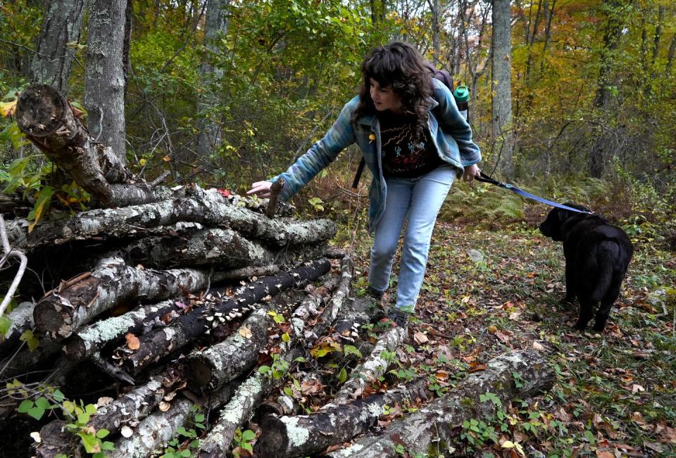 Deana Tempest Thomas, with her dog Benny, looks over a variety of mushrooms growing on a pile of dead logs around Borders Farm in Foster.