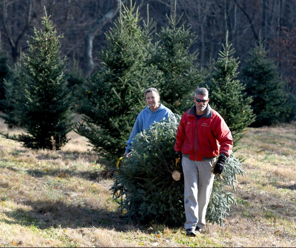 Bryant and Rose Bartolone of Massillon pick out and cut down their perfect Christmas tree at Windy Hill Tree Farm in Tuscarawas Township.  Monday, November 22, 2021.