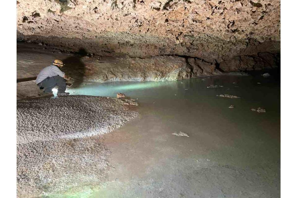 tren maya cuevas afectaciones daños