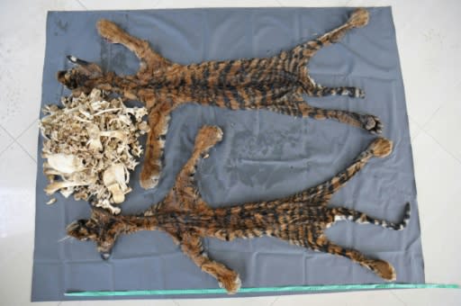 Skins are the single most frequently seized tiger part, with on average 58 whole tiger skins are seized each year, a Traffic report shows