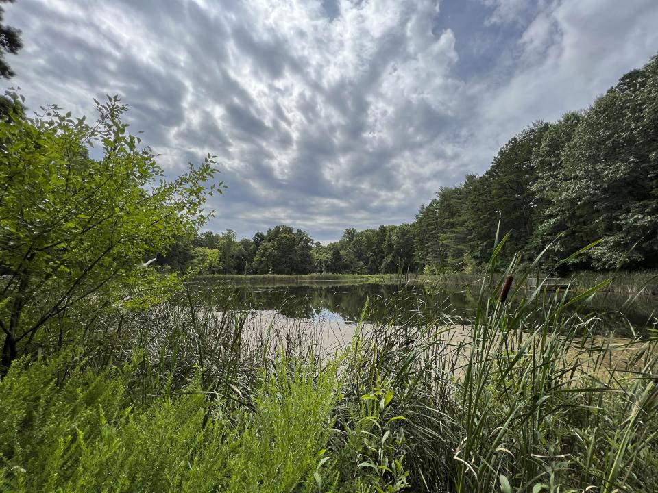 Utah Ridge Pond is seen inside Wayne National Forest in Millfield, Ohio on Tuesday, Aug. 29, 2023. A vigorous debate is under way over a U.S. Forest Service proposal to rename the 250,000-acre Wayne National Forest after Ohio's state tree, the buckeye. (AP Photo/Patrick Orsagos)